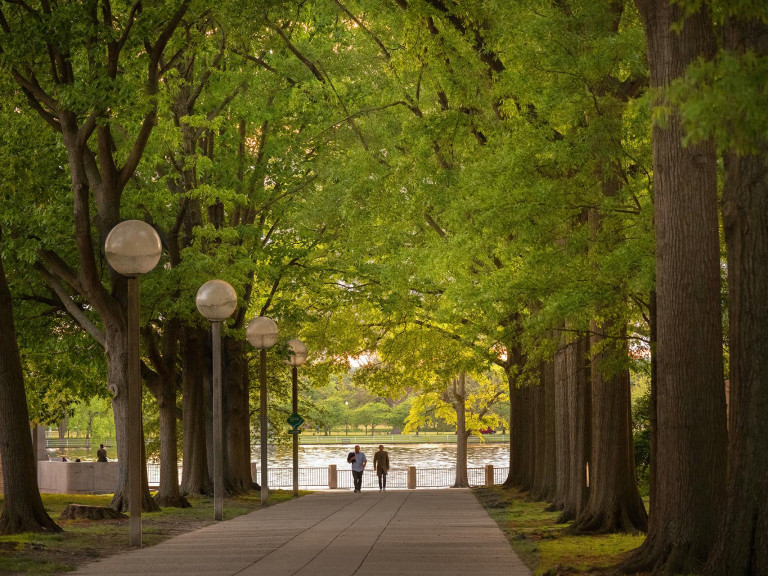 Stroll tree-lined Southwest Waterfront Park